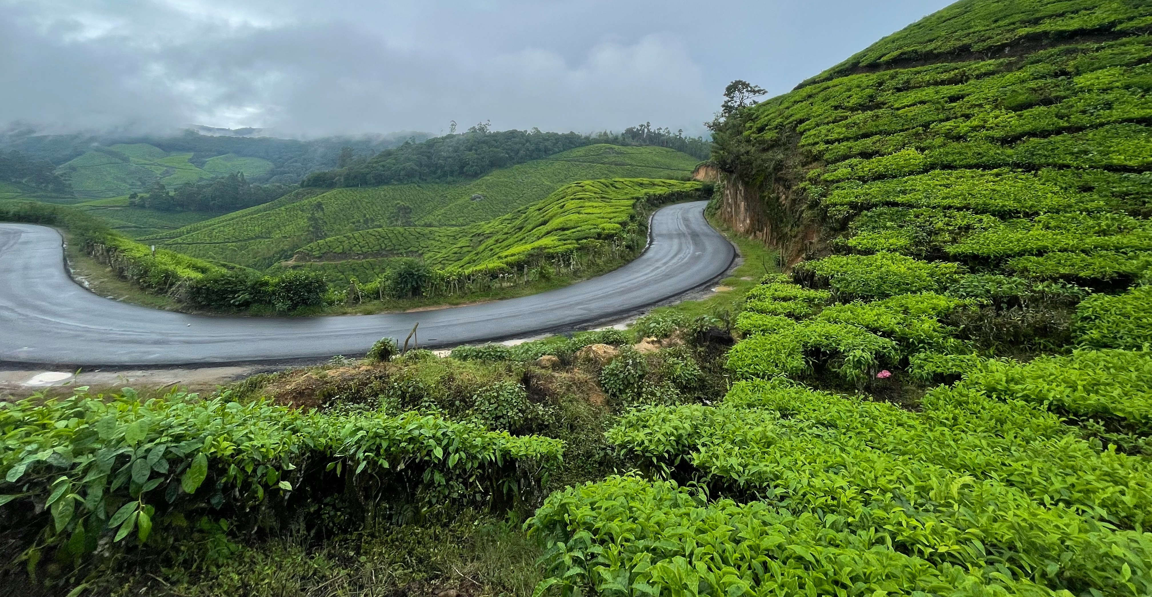 Nuwara Eliya